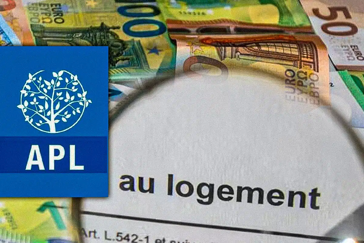 apl aide logement contribution