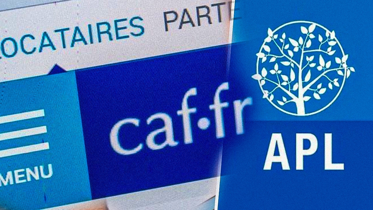 caf apl logement aide