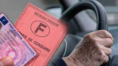 permis de conduire senior rose