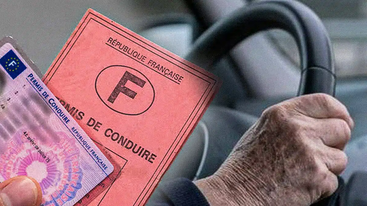 permis de conduire senior rose