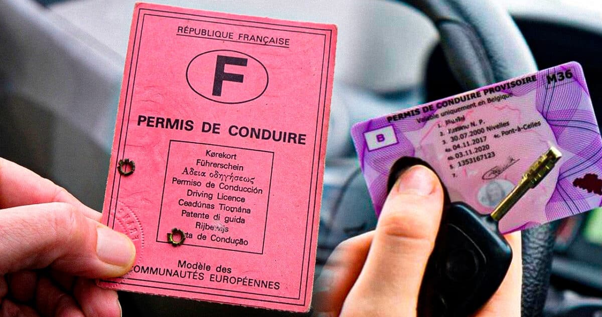 permis conduire rose